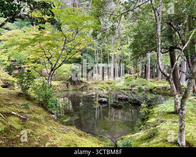 Der Moosgarten des Saiho-JI-Tempels in Kyoto, Japan. Dieser Tempel wird gemeinhin als Koke-dera oder Moostempel bezeichnet. Stockfoto