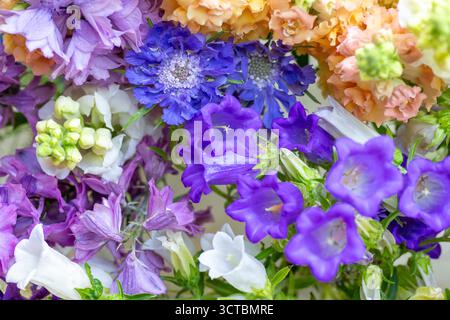 Nahaufnahme von frisch geschnittenen Frühlingsblumen in violetten und blauen Tönen. Wunderschönes Delphinium, canterbury Glocken und Schnappdrachen. Details der Blüten. Stockfoto