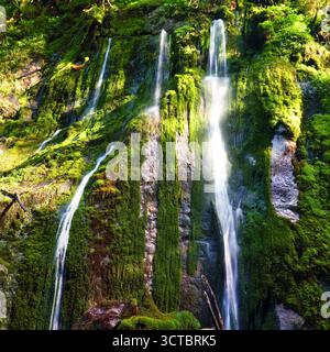 Grüne Mooswasserfälle in Wimbachklamm - Ramsau bei Berchtesgaden, Deutschland Stockfoto