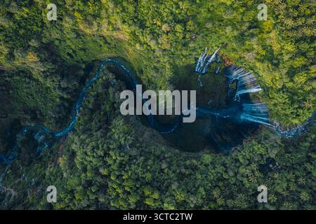 Aus der Vogelperspektive auf das kaskadierende Wasser des Tumpak Sewu Wasserfalls, das sich durch die grüne Landschaft schlängelt, Jawa Timur, Indonesien. Stockfoto