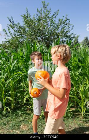 Zwei Jungs halten Kürbisse in einem Maisfeld während des Tages Stockfoto