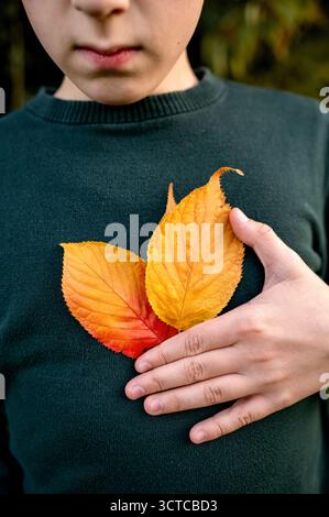 Kind, das gelbe und orangene Herbstblätter an seinem Pullover hält Stockfoto