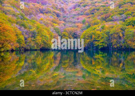 Herbstliche Landschaft am Tsutanuma Teich in der Präfektur Aomori Stockfoto