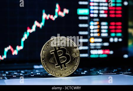 Eine symbolische Bitcoin Münze ist auf einem Laptop vor einem Bitcoin Chart zu sehen. Die Kryptowährung befindet sich auf einem Rekordhoch und hat erstmals die Marke von 125,000 US-Dollar überschritten. Rottweil Baden-Württemberg Deutschland *** Eine symbolische Bitcoin-Münze ist auf einem Laptop vor einem Bitcoin-Chart zu sehen die Kryptowährung befindet sich auf einem Rekordhoch und hat erstmals die 125.000 US-Dollar-Marke überschritten Rottweil Baden-Württemberg Deutschland Stockfoto