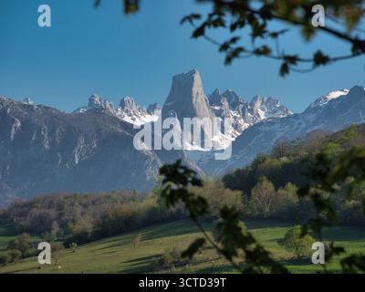 Idyllische Frühlingsaussicht auf den Naranjo de Bulnes Peak - ikonisches PICU Urriellu und schneebedeckte Picos de Europa Bergkette aus einem üppigen, sanften Grün Stockfoto