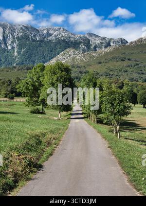 Bergstraße gesäumt von Bäumen in Picos de Europa - gerade, schmale Straße, die durch grüne Wiesen in Richtung einer zerklüfteten, spektakulären Bergkette führt. Stockfoto