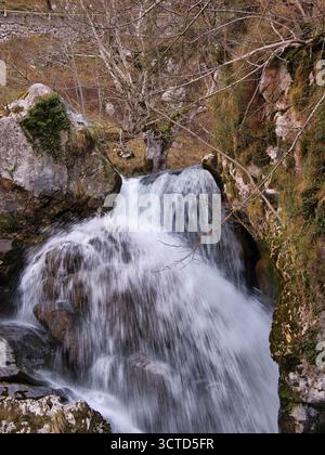 Silky Waterfall in Rocky Mountain Grotto - kleine Wasserkaskade, die über moosige Felsbrocken fließt, mit einem glatten, langanhaltenden Effekt in einer abgeschiedenen Umgebung Stockfoto