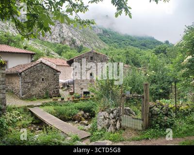 Ländliche Steinhäuser und Fußgängerbrücke in Misty Valley - traditionelle Steinhäuser und eine hölzerne Fußgängerbrücke über einen Bach, umgeben von üppiger Vegetation A Stockfoto