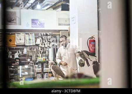 Katar, Doha: falcon Market in Souk Waqif. Verkäufer und verhüllte Greifvögel Stockfoto