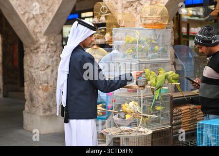 Katar, Doha: Vogelmarkt am Souk Waqif. Verkäufer traditioneller Kleidung mit Keffiyeh, Sittichen, Käfigen und Papageien Stockfoto