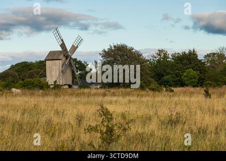Auf der Insel Saaremaa, Estland, steht eine hölzerne Windmühle auf einem grasbewachsenen Feld, umgeben von Bäumen. Stockfoto