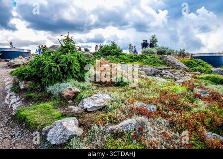 Gruppe von Menschen auf einem felsigen Hügel Garten Aussichtspunkt im Saryadye Park mit Grün, Pflanzen und bewölktem Himmel, Moskau, Russland, August 2025 Stockfoto