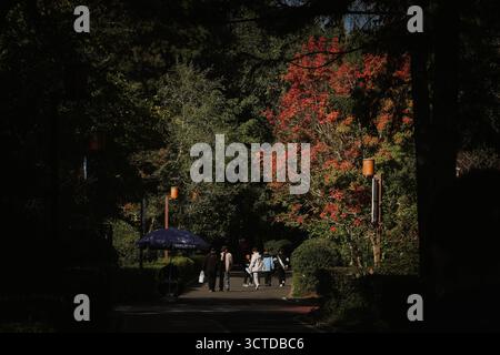 Peking, Chinas Provinz Jilin. Oktober 2025. Touristen besuchen den Nanhu Park in Changchun, nordöstliche chinesische Provinz Jilin, 6. Oktober 2025. Während Chinas Nationalfeiertage und die Feiertage des mittleren Herbstfestes zusammenlaufen, zeichnen die kulturellen Aktivitäten des Landes, die belebten Verkehrsnetze und die innovativen Konsumszenen ein lebendiges Bild von wirtschaftlicher Widerstandsfähigkeit und Wachstumspotenzial. Quelle: Xu Chang/Xinhua/Alamy Live News Stockfoto