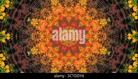 Das detailreiche Mandala-Design zeichnet sich durch leuchtende Gelb-, Orange- und Rottöne aus. Komplizierte Blumenmuster erzeugen eine symmetrische und ausgewogene visuelle Erscheinung Stockfoto