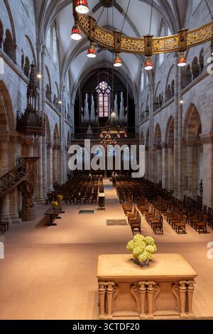 Basler Münster (deutsch: Basler Münster) Dom-Kircheneinrichtung in Basel, Schweiz. Stockfoto