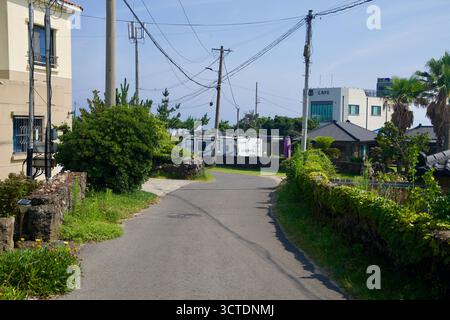 Eine schmale Dorfstraße in Pyeongdae-ri nahe der Küste, begrenzt von Jeju Basaltmauern und Palmen, führt an Häusern und einem kleinen Café vorbei, während Stromleitungen die überqueren Stockfoto