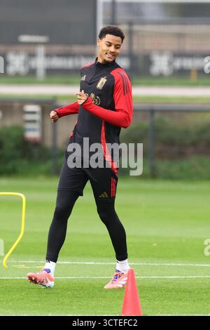 Tubize, Belgien. Oktober 2025. Belgischer Koni de Winter, der während eines offenen Trainings der belgischen Fußballnationalmannschaft Red Devils auf dem Proximus Basecamp in Tubize am Montag, den 6. Oktober 2025, gezeigt wurde. Die Mannschaft bereitet sich auf die Spiele gegen Nordmazedonien (10/10) und Wales (13/10) vor. BELGA FOTO BRUNO FAHY Credit: Belga News Agency/Alamy Live News Stockfoto