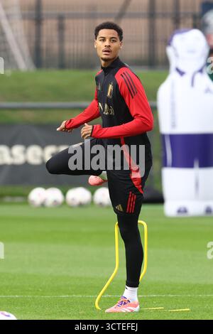 Tubize, Belgien. Oktober 2025. Belgischer Koni de Winter, der während eines offenen Trainings der belgischen Fußballnationalmannschaft Red Devils auf dem Proximus Basecamp in Tubize am Montag, den 6. Oktober 2025, gezeigt wurde. Die Mannschaft bereitet sich auf die Spiele gegen Nordmazedonien (10/10) und Wales (13/10) vor. BELGA FOTO BRUNO FAHY Credit: Belga News Agency/Alamy Live News Stockfoto