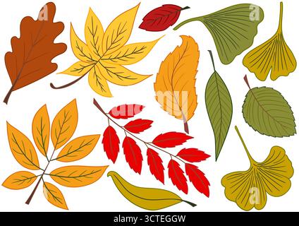 Herbstlaub. Satz von farbigen Illustrationen im Stil der Handzeichnung. Design für Postkarten, Flyer, Banner, Raumdekoration. Symbole, Schilder, Aufkleber, Logo Stock Vektor