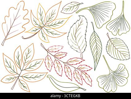 Herbstlaub. Satz von Illustrationen im Stil der Handzeichnung. Handzeichnung, farbige Umrisse. Design zum Färben nach Farben, Postkarten. Symbole, Schilder, Aufkleber, Stock Vektor