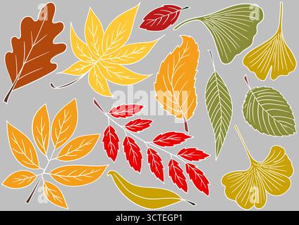 Herbstlaub. Satz von farbigen Illustrationen im Handzeichnungsstil auf grauem Hintergrund. Weiße Umrandung. Design für Postkarten, Flyer, Banner. Symbole, Zeichen, s Stock Vektor