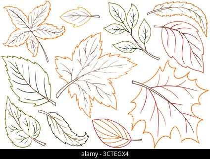 Herbstlaub. Satz von Illustrationen im Stil der Handzeichnung. Handzeichnung, farbige Umrisse. Design zum Färben nach Farben, Postkarten. Symbole, Schilder, Aufkleber, Stock Vektor