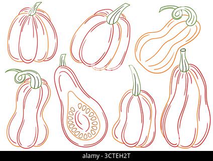 Kürbis. Satz von Illustrationen im Stil der Handzeichnung. Handzeichnung, farbige Umrisse. Design zum Färben nach Farben, Postkarten. Symbole, Schilder, Aufkleber, Pins, Stock Vektor