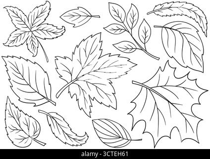 Baumblätter. Satz monochromer Illustrationen im Handzeichnungsstil. Handzeichnung, schwarze Umrandung. Design zum Färben, Postkarten. Symbole, Schilder, Aufkleber, Stock Vektor