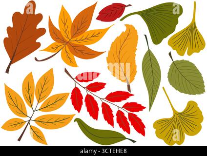 Herbstlaub. Satz von farbigen flachen Abbildungen. Design für Postkarten, Flyer, Banner, Raumdekoration. Symbole, Schilder Aufkleber Logo Stock Vektor