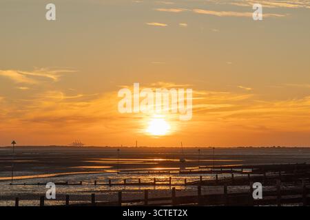 Southend on Sea, Großbritannien. Oktober 2025. Goldener Sonnenuntergang über einer ruhigen Küstenlandschaft mit Holzkiefern, die sich bis in die Mündung erstrecken. Schimmernde Wolken reflektieren warme Farbtöne über nassen Sand und flache Gezeitenkanäle. Industrielle Silhouetten am Horizont stehen im Kontrast zur natürlichen Gelassenheit. Sonnenuntergänge an der Themse am Strand von Southend on Sea. Penelope Barritt/Alamy Live News Stockfoto