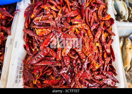 Getrocknete Chili, ein Haufen getrockneter roter Chilischoten, Nahaufnahme sonnengetrockneter Chili für scharfe Speisen Stockfoto