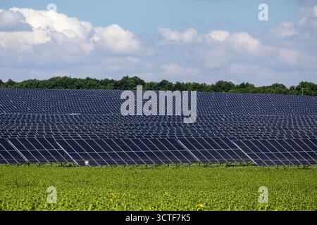 Großes Solarkraftwerk mit Reihen von Photovoltaikpaneelen, die auf einem grünen Feld unter blauem Himmel installiert sind. Erneuerbare Energien und nachhaltige Technologien Stockfoto