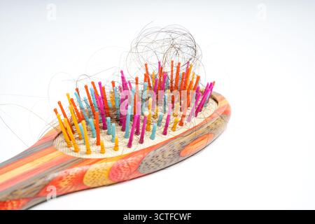 Bunte Haarbürste mit losen Haarsträhnen, die in Borsten verwickelt sind, auf isoliertem weißem Hintergrund. Nahaufnahme einer Holzbürste, die mit Abwurf gefüllt ist Stockfoto