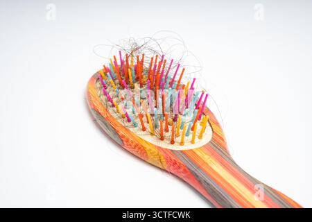 Bunte Haarbürste mit losen Haarsträhnen, die in Borsten verwickelt sind, auf isoliertem weißem Hintergrund. Nahaufnahme einer Holzbürste, die mit Abwurf gefüllt ist Stockfoto