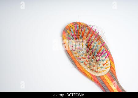 Bunte Haarbürste mit losen Haarsträhnen, die in Borsten verwickelt sind, auf isoliertem weißem Hintergrund. Nahaufnahme einer Holzbürste, die mit Abwurf gefüllt ist Stockfoto