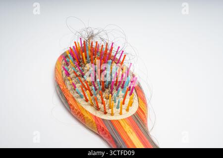 Bunte Haarbürste mit losen Haarsträhnen, die in Borsten verwickelt sind, auf isoliertem weißem Hintergrund. Nahaufnahme einer Holzbürste, die mit Abwurf gefüllt ist Stockfoto