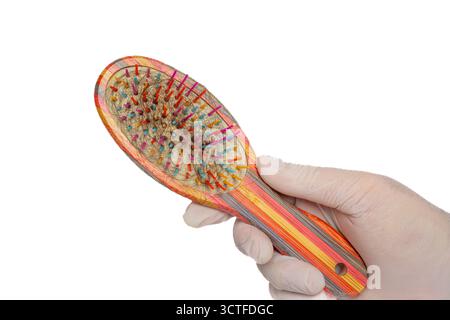 Hand mit Handschuhen, die bunte Haarbürste mit losen Haarsträhnen in Borsten auf isoliertem weißem Hintergrund hält. Pflege, Pflegeprobleme Stockfoto
