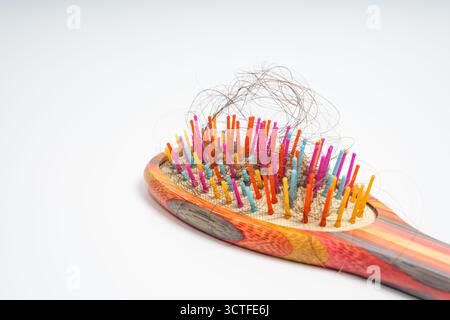 Bunte Haarbürste mit losen Haarsträhnen, die in Borsten verwickelt sind, auf isoliertem weißem Hintergrund. Nahaufnahme einer Holzbürste, die mit Abwurf gefüllt ist Stockfoto