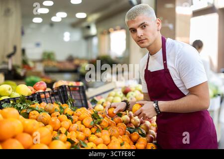 Arbeiten im Supermarkt - männlicher Verkäufer sortiert reife Mandarinen auf der Vitrine Stockfoto