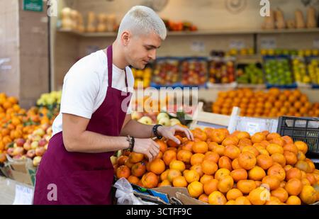 Arbeiten im Supermarkt - männlicher Verkäufer sortiert reife Mandarinen auf der Vitrine Stockfoto