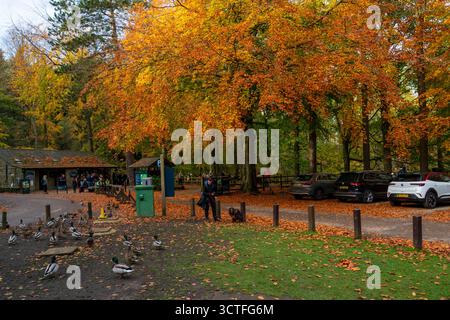 Derwent Dam Parking Derbyshire, England - 27. Oktober 2024 - ist umgeben von gefallenen Blättern und lebhaften Herbstfarben. Stockfoto