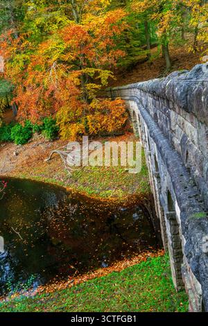 Gefallene Blätter bedecken die Landschaft rund um den Derwent Dam und leuchten in kräftigen Herbstfarben. Eine friedliche Szene, in der das Wesen des Falls festgehalten wird. Stockfoto
