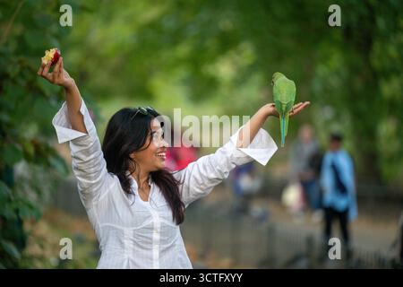 London, UK, 6. Oktober 2025, die Wärme war wieder in London, wo die Temperaturen im St James Park 21 Grad Celsius erreichten. Hier sind Aufnahmen aus dem Park, als die Sonne unterging. Andrew Lalchan Photography/Alamy Live News Stockfoto