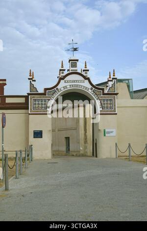 Alte Keramikfabrik der Cartuja de Sevilla, Andalusien, Spanien Stockfoto