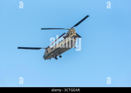 Gosport Hampshire England UK.06.10.2025. Der Chinoock RAF-Hubschrauber diente zum Transport von Truppen und Vorräten, die über Portsmouth Harbour UK flogen Stockfoto