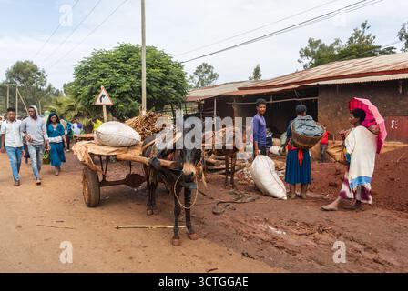 Mancusa, Äthiopien – 20. April 2019: Ein beladener Eselkarren und Fußgänger fahren auf einer staubigen Hauptstraße in der ländlichen Stadt Mancusa. Stockfoto