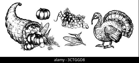 Vector Thanksgiving-Kollektion mit truthahn, Kürbis, Fruchtfleisch, Apfel und Erntegemüse in linearer Form. Festliche Skizzenelemente für Urlaubsgestaltung, Verpackung und Einladungen. Stock Vektor