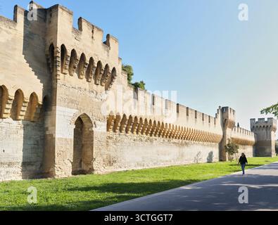 Stadtmauer und Turm aus dem 14. Jahrhundert am St. Michael-Tor, Avignon, Frankreich. Stockfoto