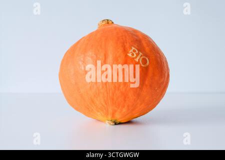 Ein großer orangefarbener Kürbis mit dem Wort Bio drauf. Der Kürbis sitzt auf einem weißen Tisch Stockfoto
