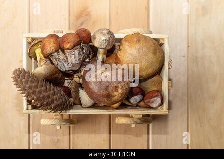 Frische Waldpilze und Kiefernkegel werden in einer kleinen Holzkiste auf einem hellen Holztisch gesammelt. Herbsterntekonzept, Bio-Lebensmittel und natürlich Stockfoto